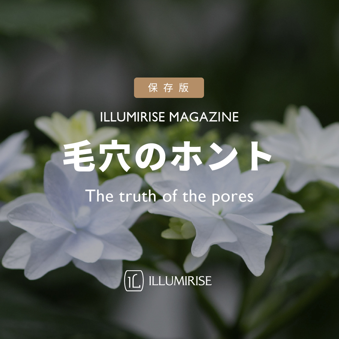 毛穴のホント